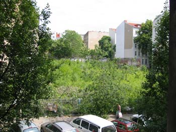 IMG_0008